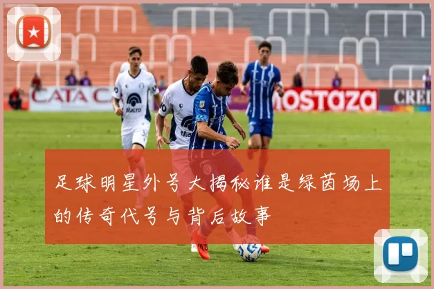 足球明星外号大揭秘谁是绿茵场上的传奇代号与背后故事