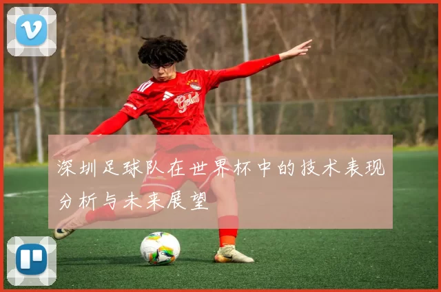 深圳足球队在世界杯中的技术表现分析与未来展望