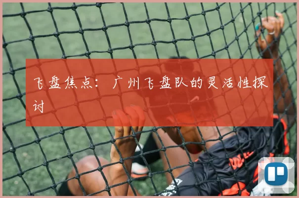 飞盘焦点：广州飞盘队的灵活性探讨
