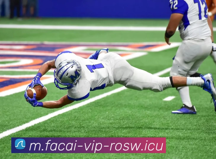 米兰体育APP 封面图